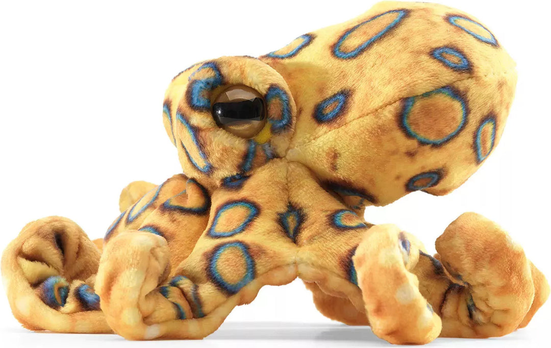 Mini Blue Ringed Octopus