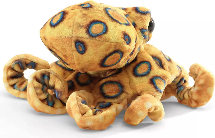 Mini Blue Ringed Octopus