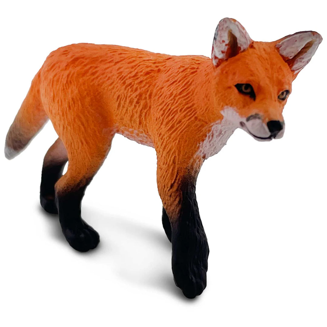 North American Wildlife Red Fox Kit