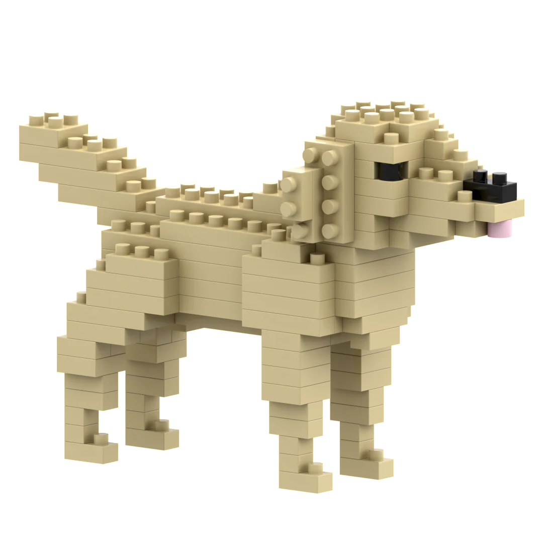Brixies Golden Retriever