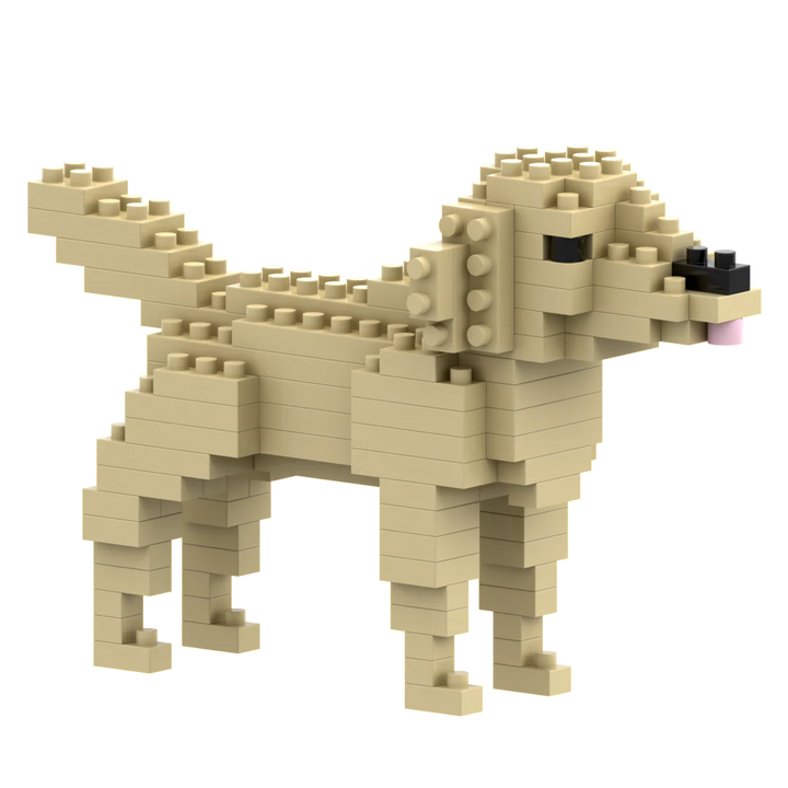 Brixies Golden Retriever