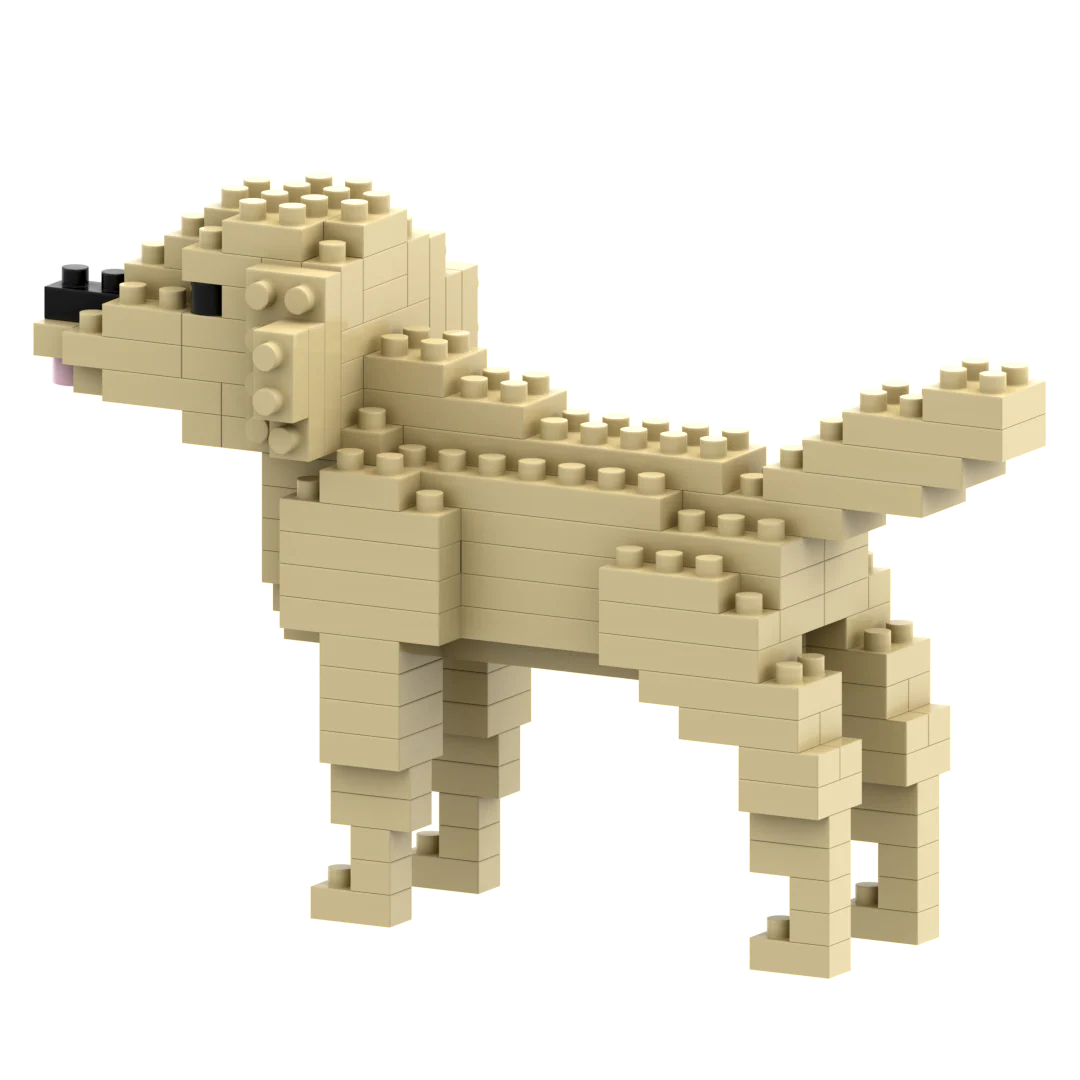 Brixies Golden Retriever