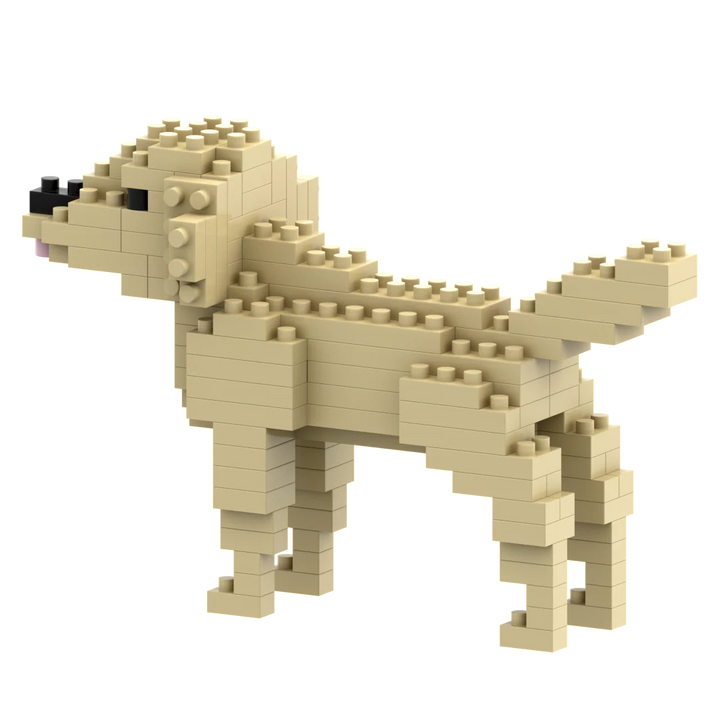 Brixies Golden Retriever