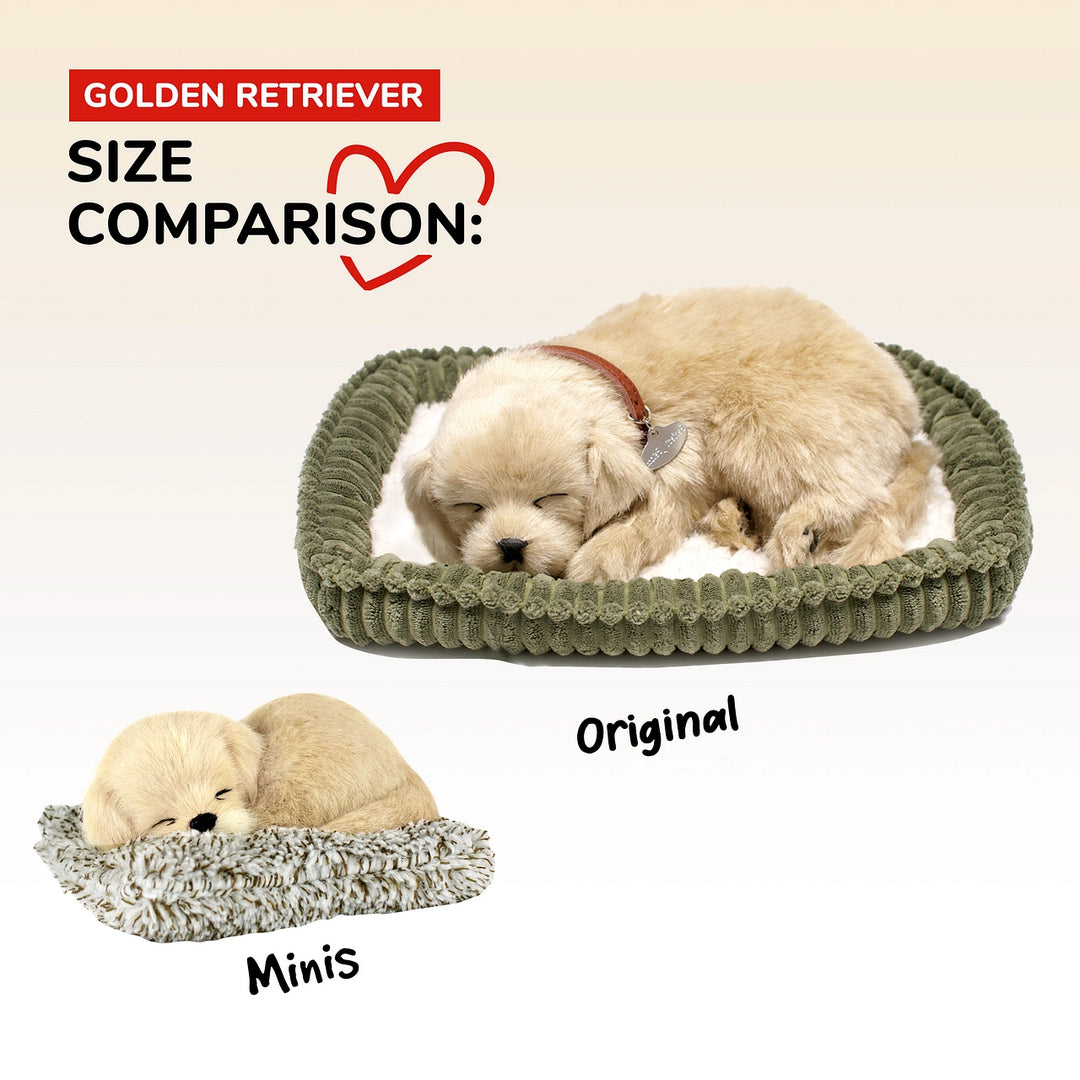 Perfect petzzz golden retriever 2025