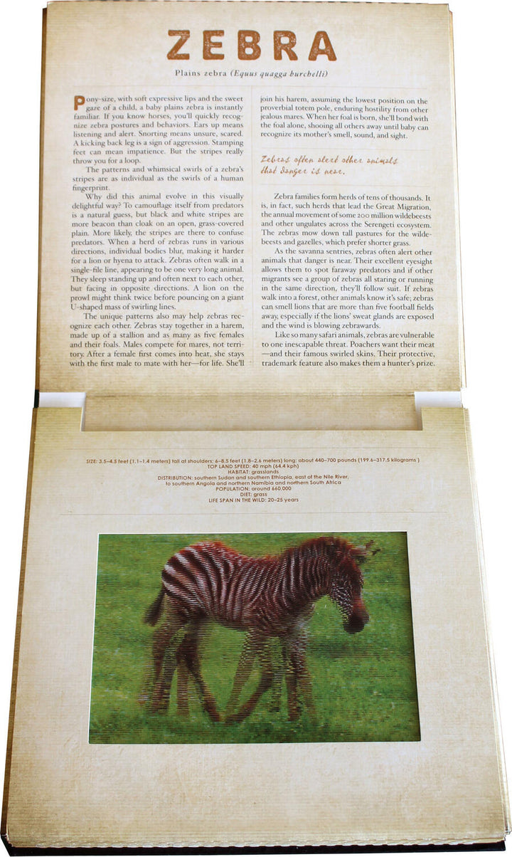 Safari: A Photicular Book