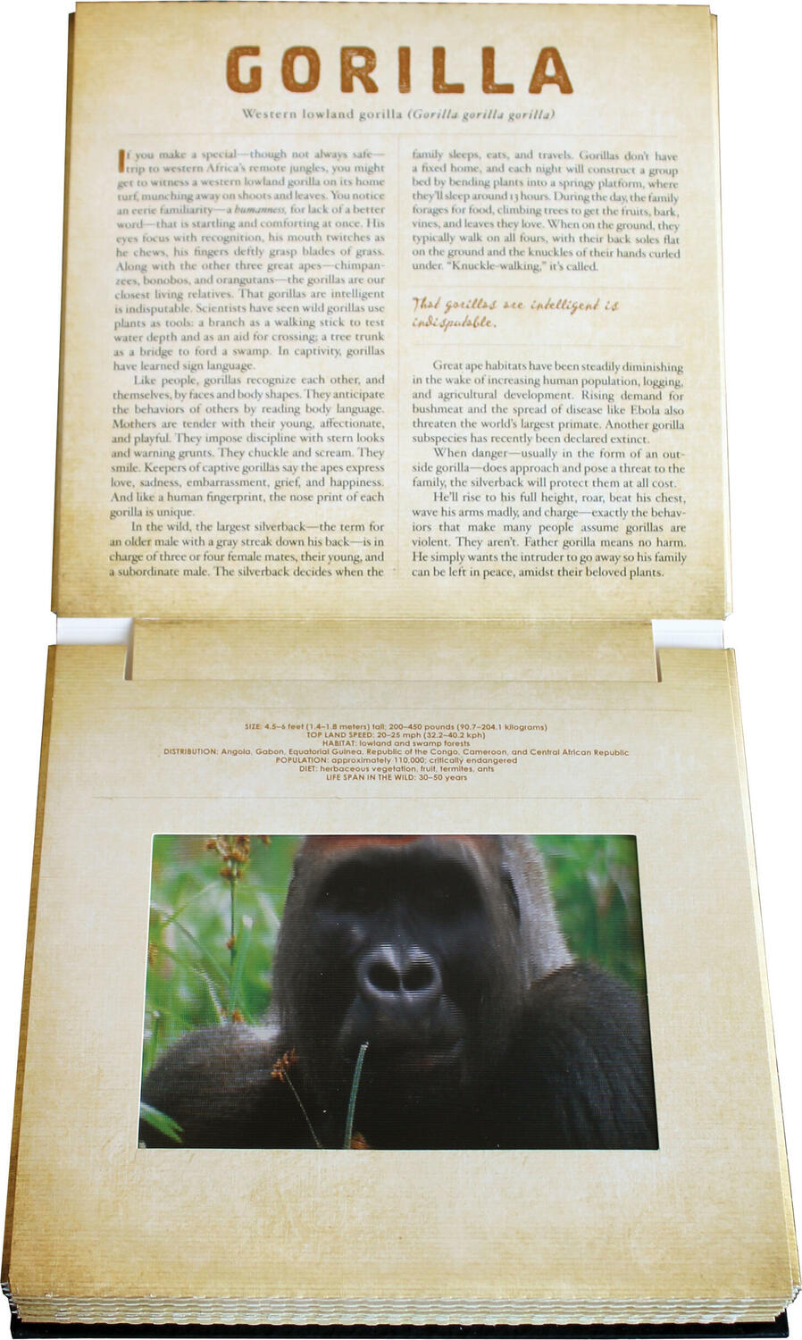 Safari: A Photicular Book