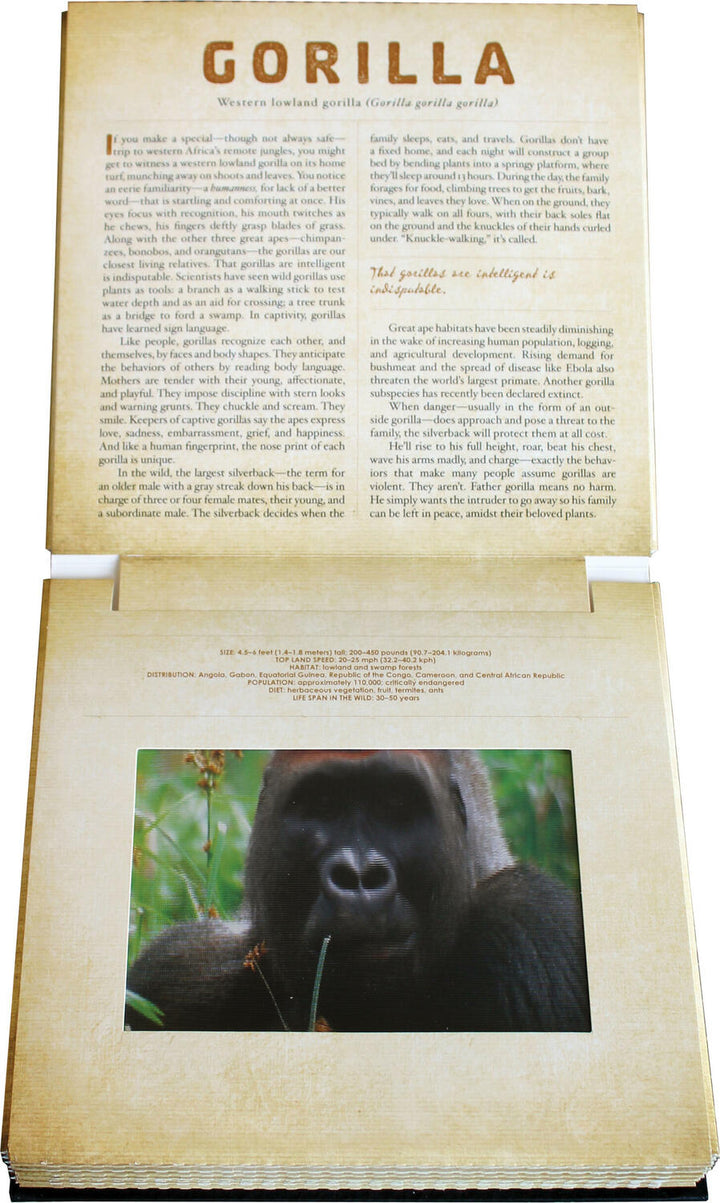 Safari: A Photicular Book