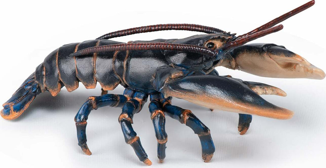 Papo France Lobster
