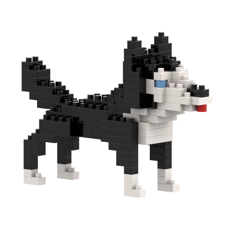 Brixies Husky Dog