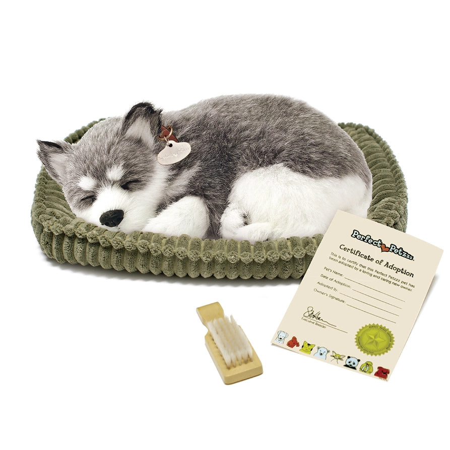 Perfect Petzzz Alaskan Husky