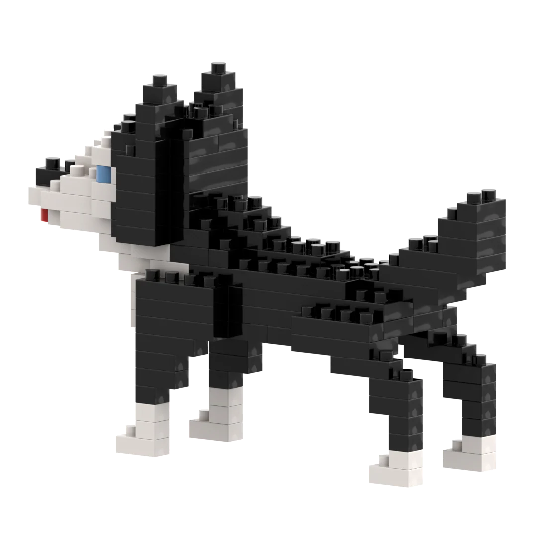 Brixies Husky Dog
