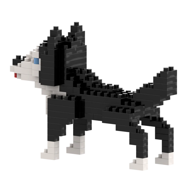 Brixies Husky Dog