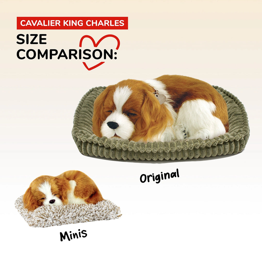 Mini Perfect Petzzz Cavalier King Charles