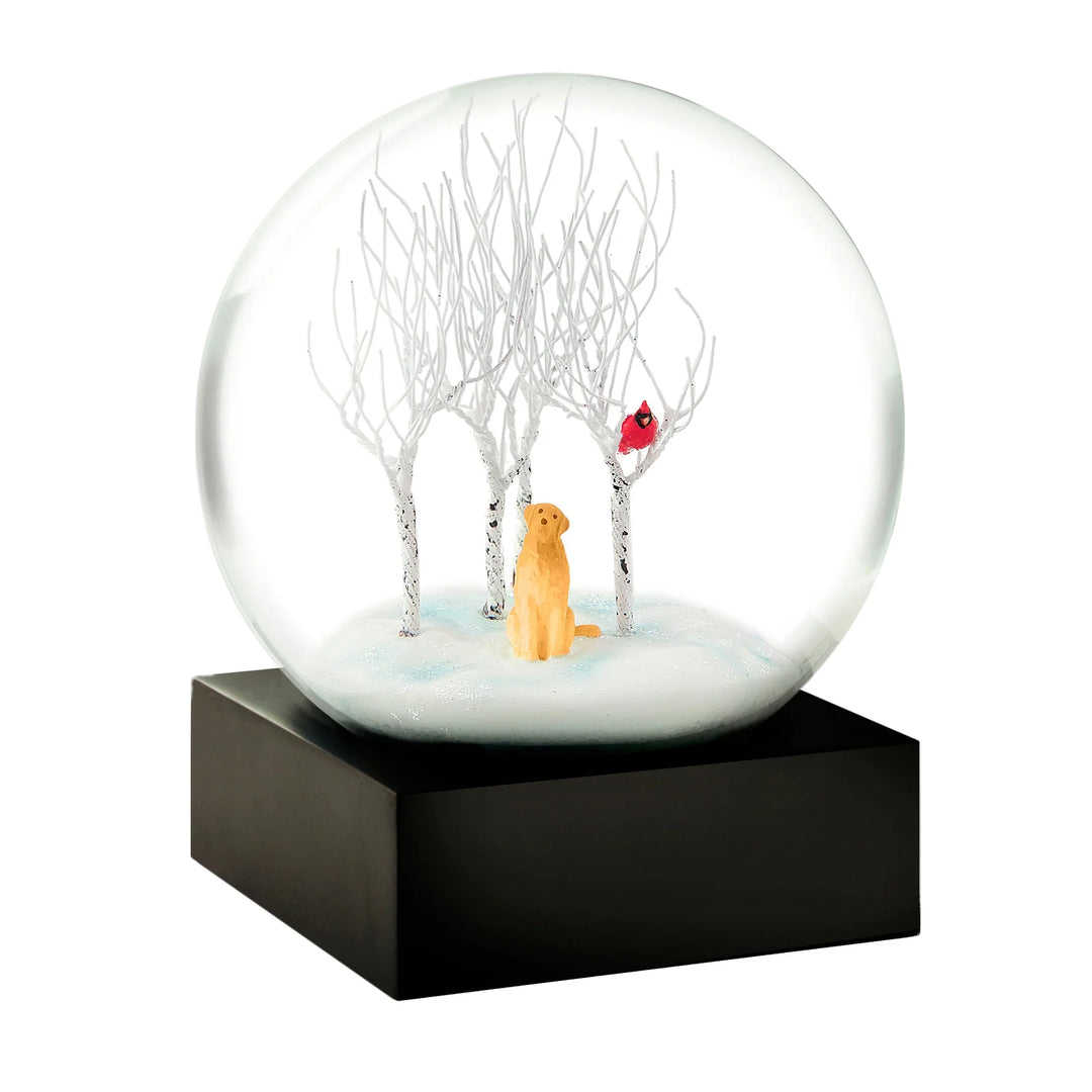 Snow Globe Lab In Woods