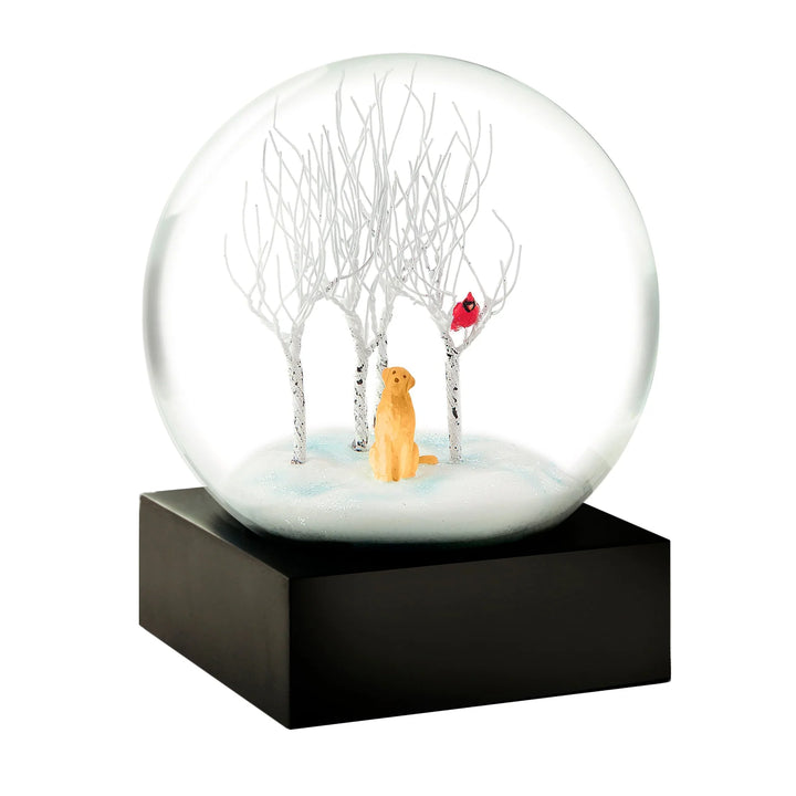 Snow Globe Lab In Woods