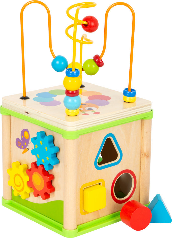 Insect Motor Skills Training Cube