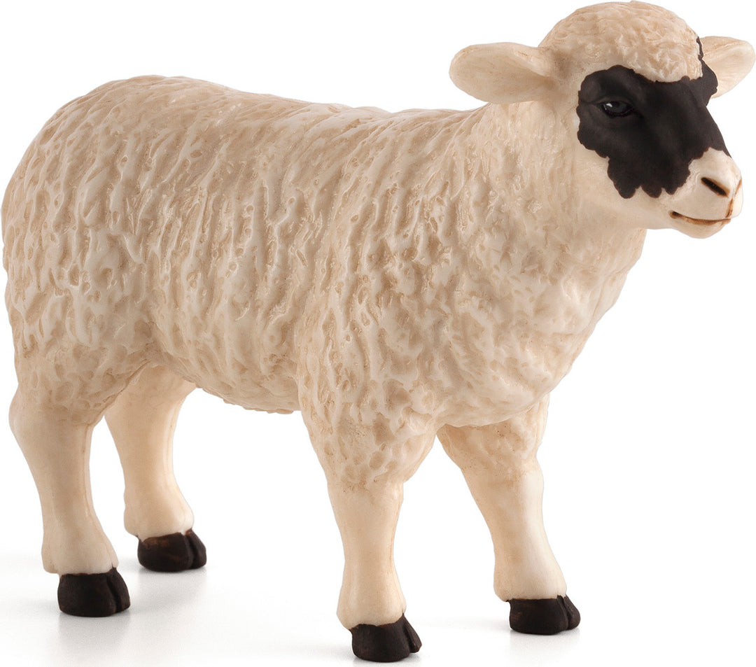 Black faced Sheep (Ewe)