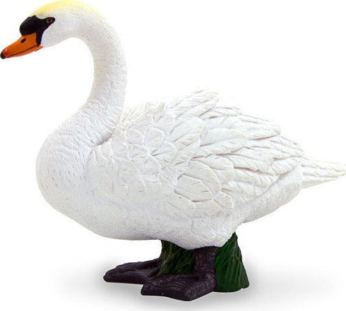 Mute Swan