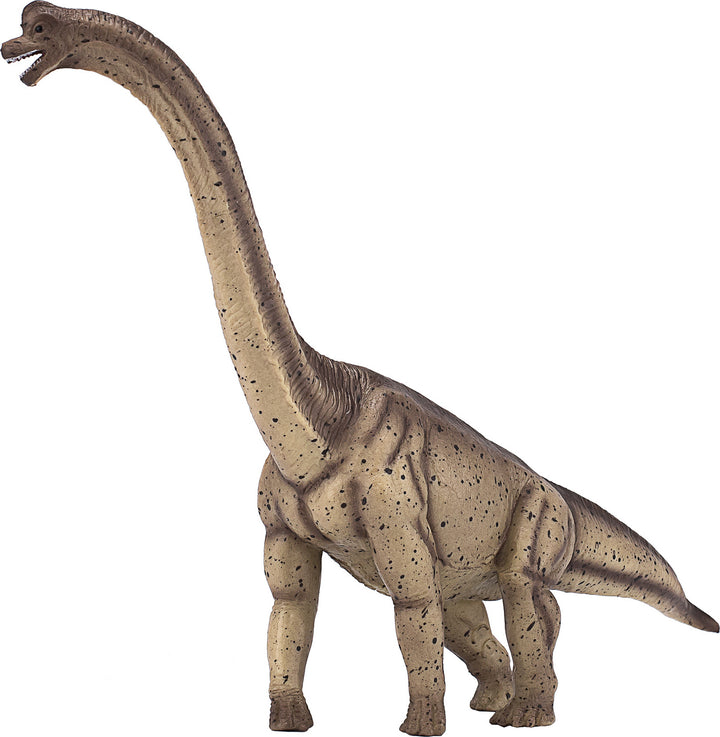 Deluxe Brachiosaurus