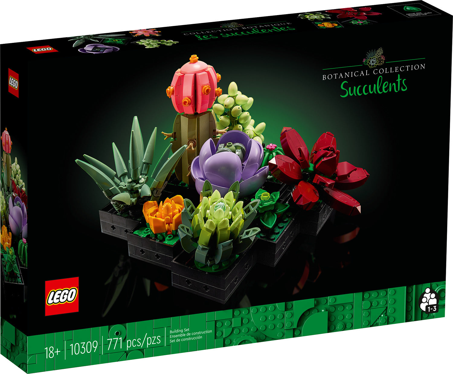 【i&n_ Botanical.】 LEGO® Art Botanical Succulents – Stevenson's Toys & Games