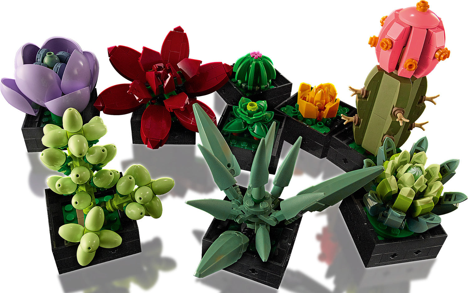 LEGO® Art Botanical Succulents – Stevenson's Toys & Games