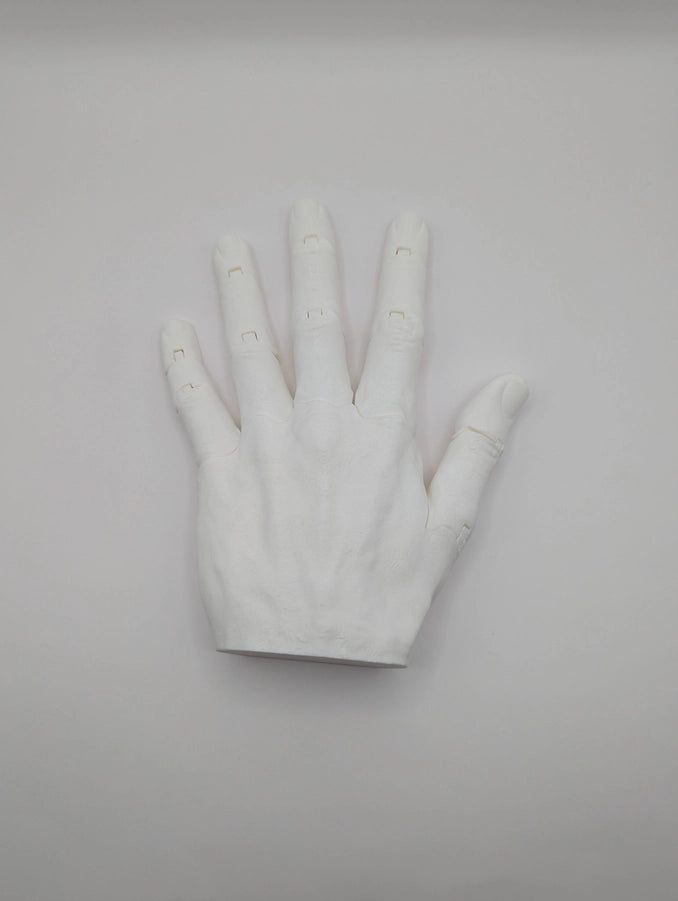 Articulated Left Hand All Colors