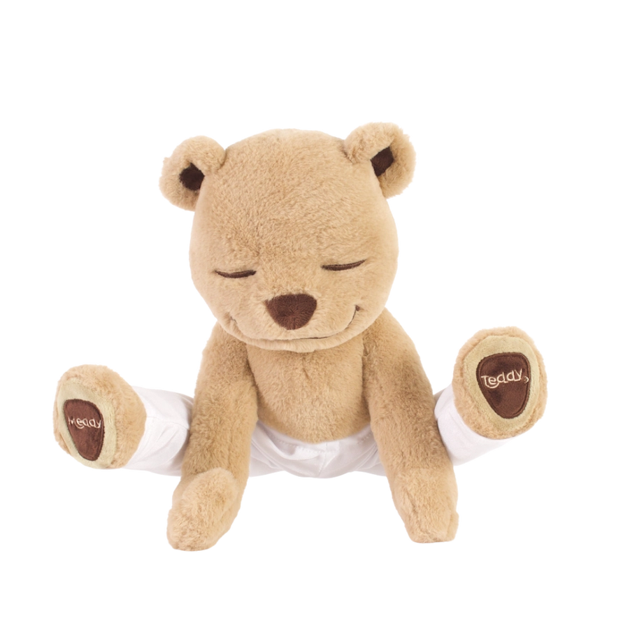 Meddy Teddy