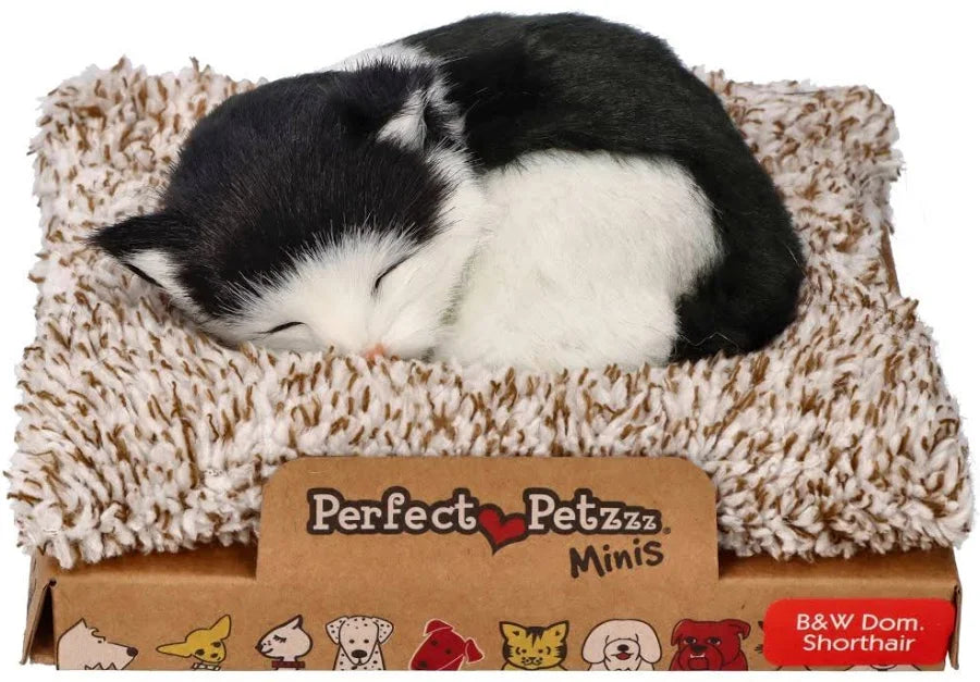 Mini Perfect Pet Black/White Cat Shortha