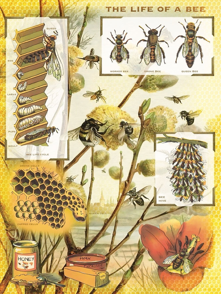 Bees & Honey - Puzzle (1000 pc)