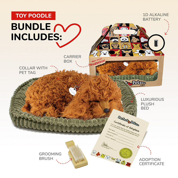即完品　ソルオル トゥド パサ モデル solol-todopasa model Perfect Petzzz Toy Poodle – Stevenson's Toys & Games
