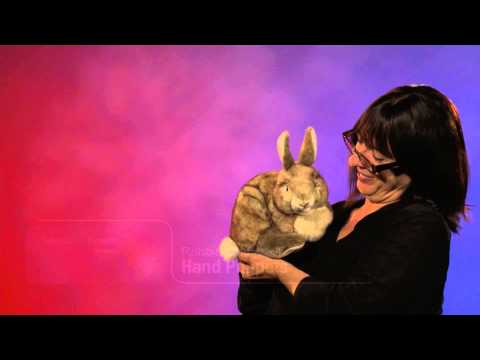 Cottontail Rabbit Hand Puppet