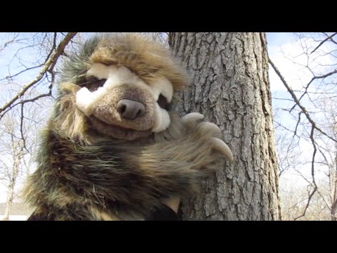 Sloth, Three-Toed Hand Puppet