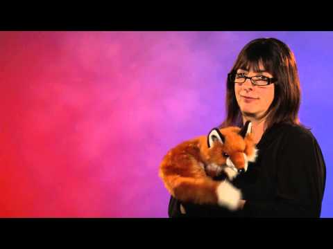 Red Fox Hand Puppet