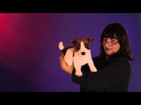 Jack Russel Terrier (smooth Coat) Hand Puppet