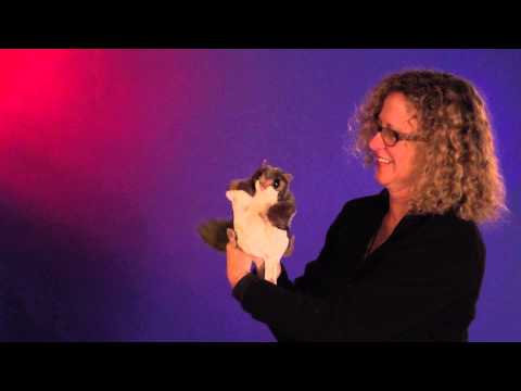 Flying Squirrel Hand Puppet