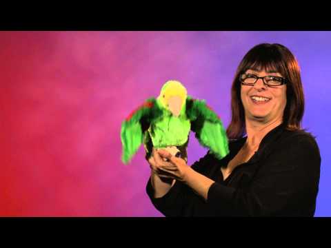 Amazon Parrot Hand Puppet
