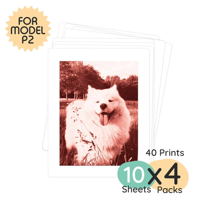 Print Pack 40 Prints For Model P2