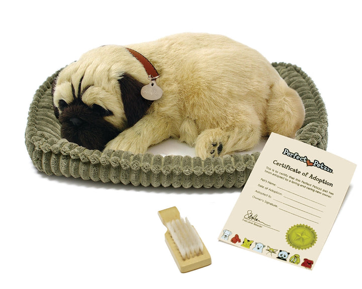 Perfect Petzzz Pug
