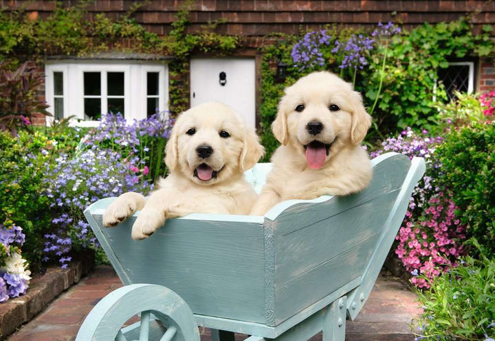 Golden Retriever Puzzle (200 pc)