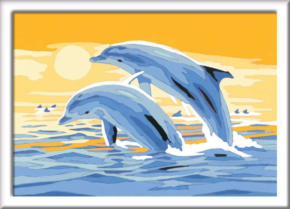 Delightful Dolphins