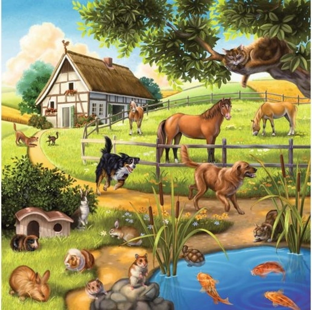 Forest; Zoo & Farm Animals 3X49