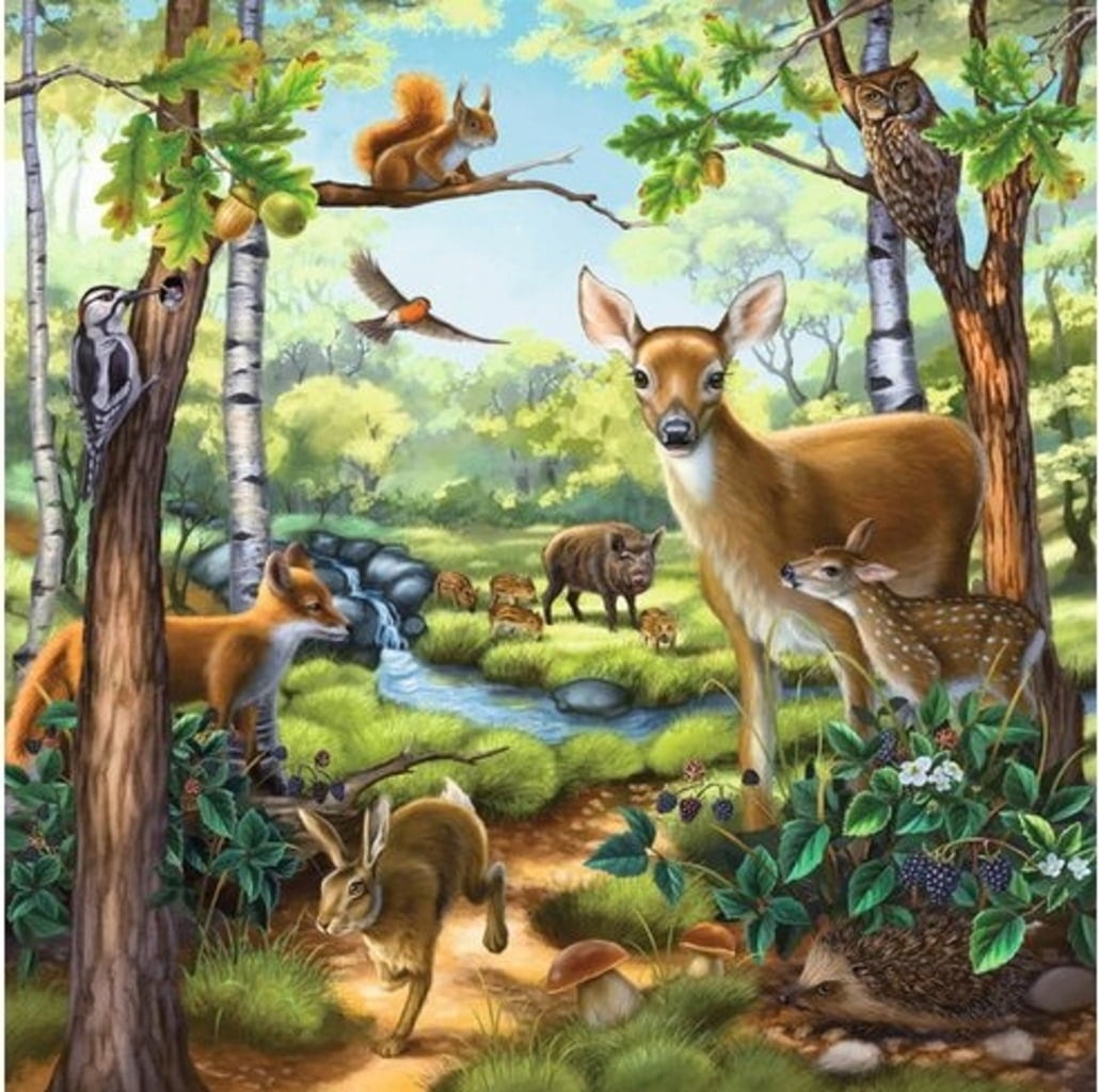 Forest; Zoo & Farm Animals 3X49