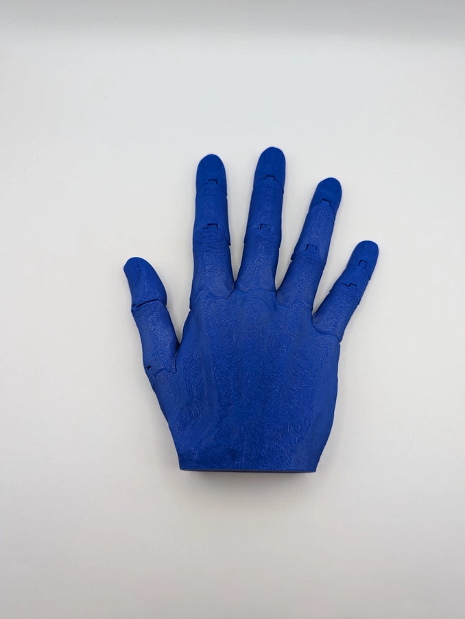 Articulated Right Hand Any Color