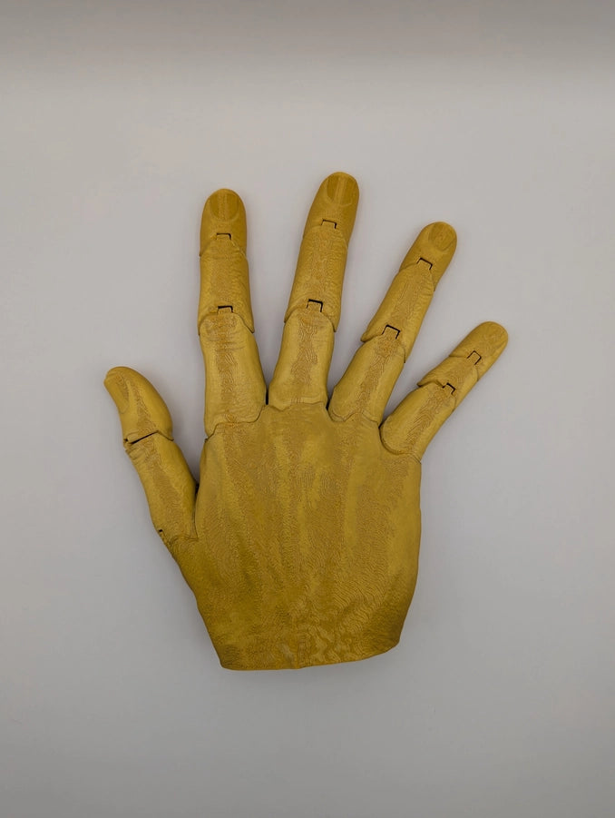 Articulated Right Hand Any Color