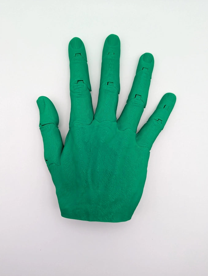 Articulated Right Hand Any Color