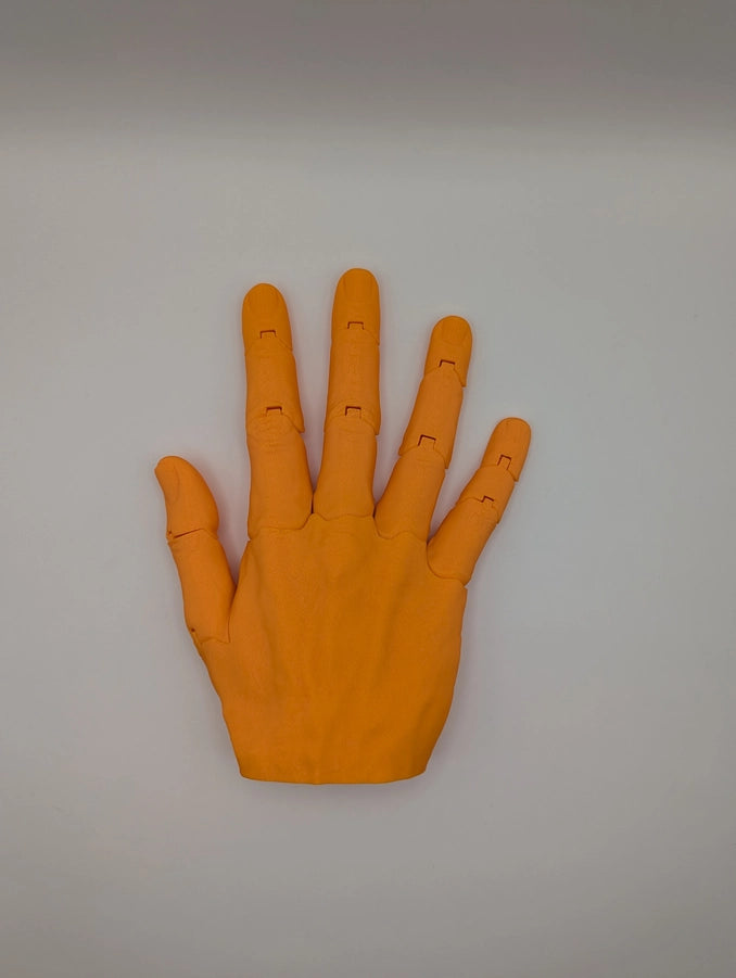 Articulated Right Hand Any Color