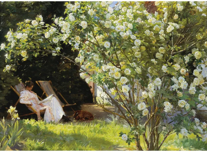 500 Roses