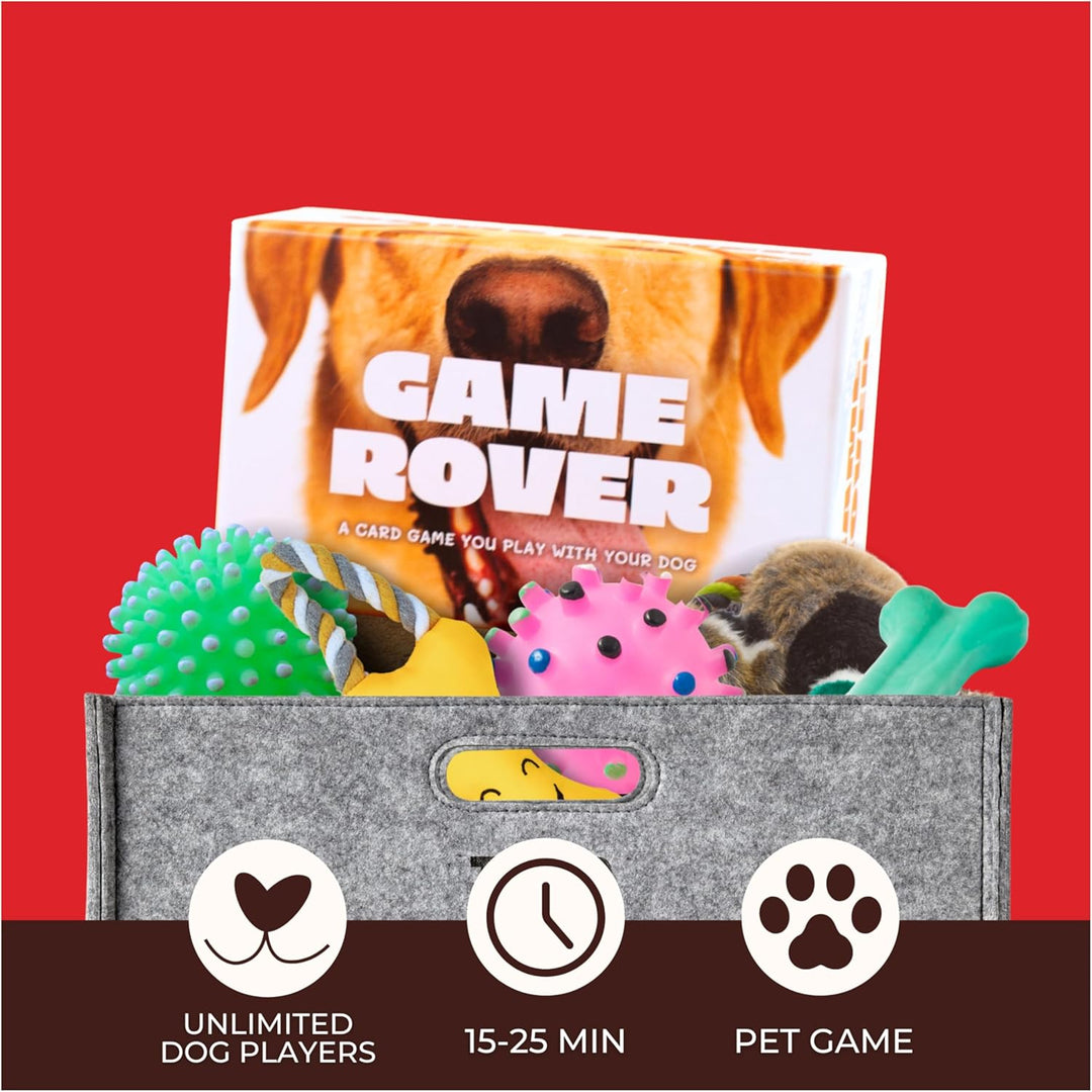 Rover Game