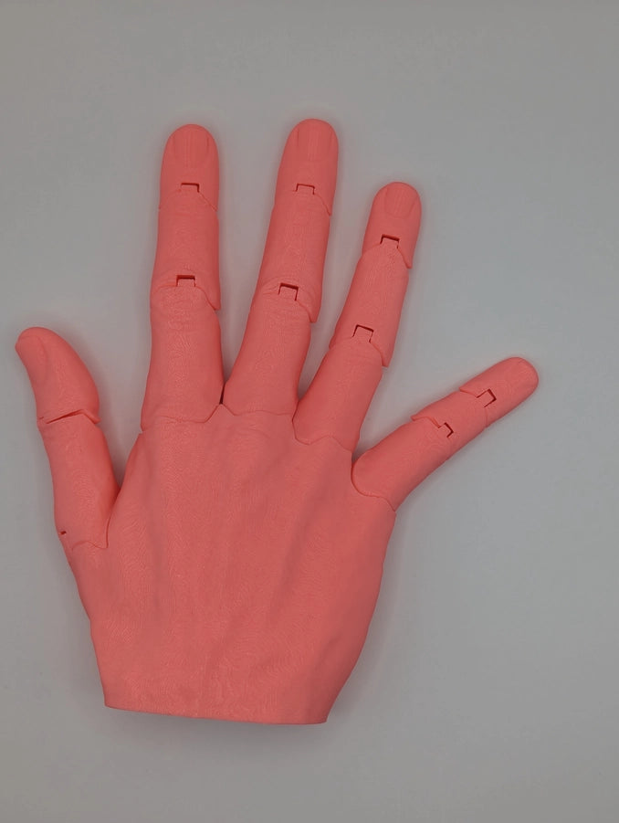 Articulated Right Hand Any Color