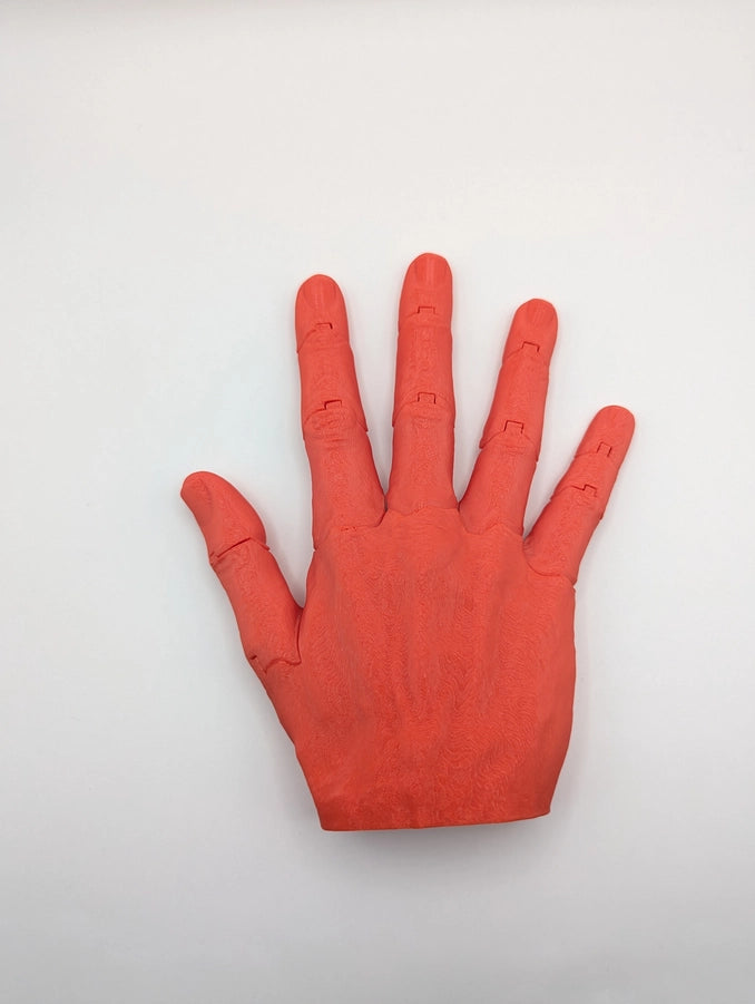 Articulated Right Hand Any Color